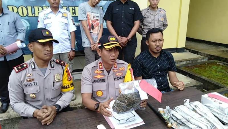 Bandar Ganja 0,5 Kg Dibekuk