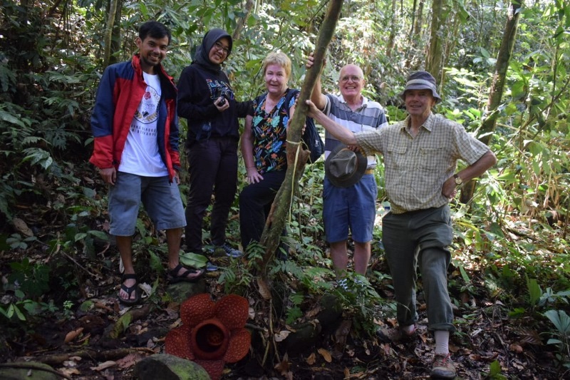 Rafflesia Kembali Mekar