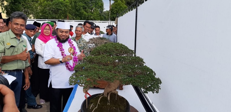 Ratusan Peserta, Ikuti Kontes Bonsai Nasional