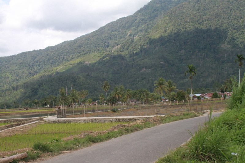 Disperkan Cetak, 50 Ha Sawah Baru