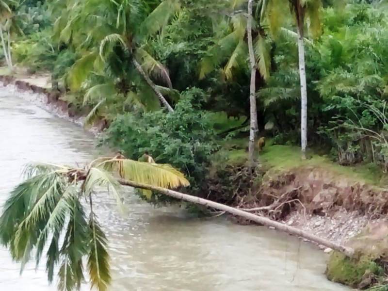 Abrasi Sungai Luas Memprihatinkan