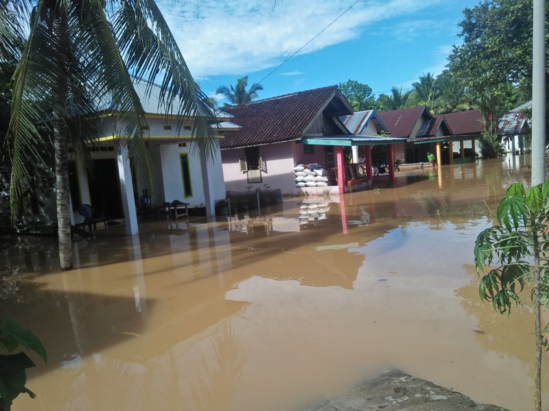 Puluhan Rumah Terendam