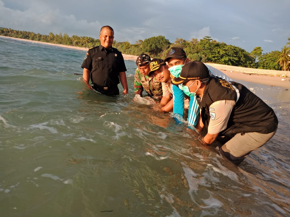 TNI AL Bengkulu Amankan 381 Benur dan 1.441 Waring