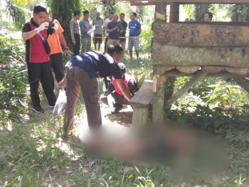 Warga Temukan Mayat di Kebun Sawit