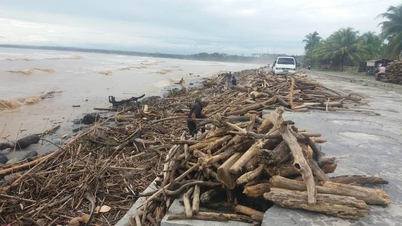 Tumpukan Kayu Bakar Jadi Sumber Rezeki 1082