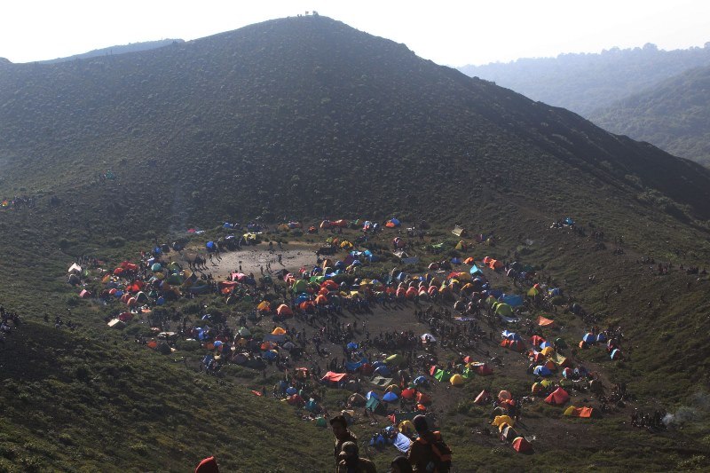 50% Kawasan TWA Bukit Kaba Jadi Perkebunan