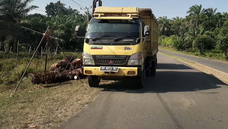 Pabrik Sawit Tutup 2 Juni