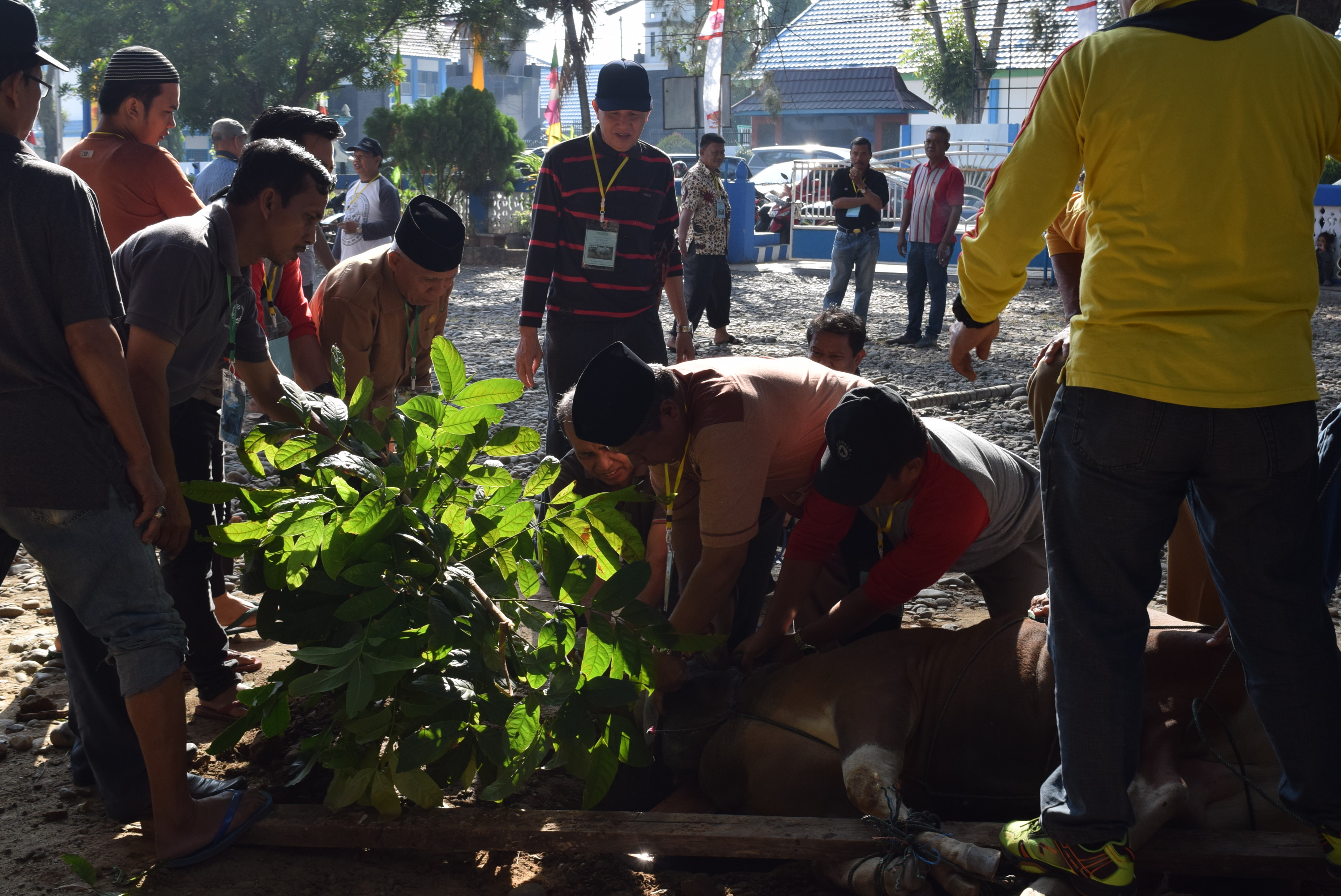 Kanwil Kemenag Bagikan 1.500 Kupon Daging