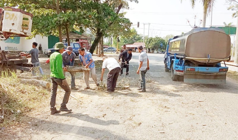 DLH Pangkas Pohon