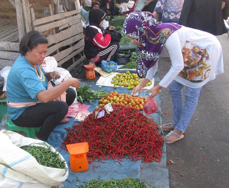 Harga Cabai Masih Tinggi