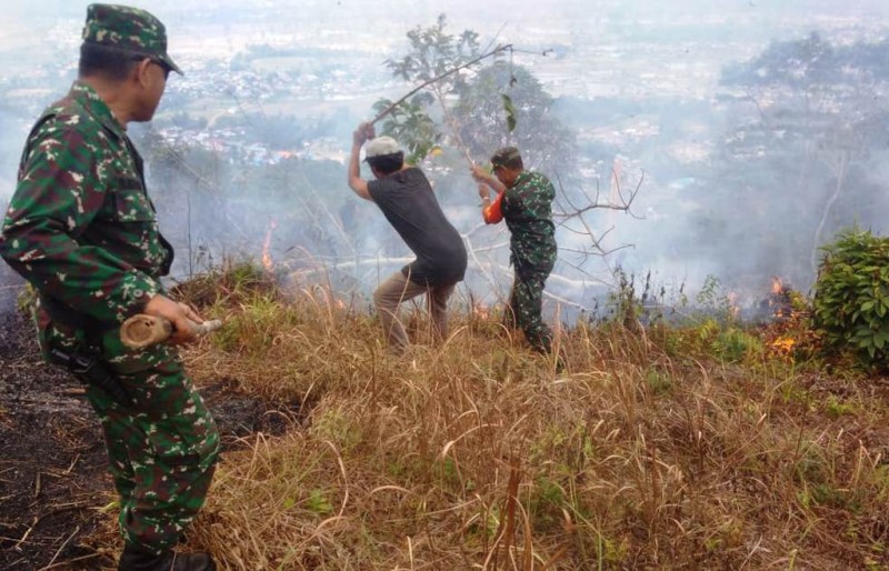 Kebakaran Hutan di Lebong dan RL