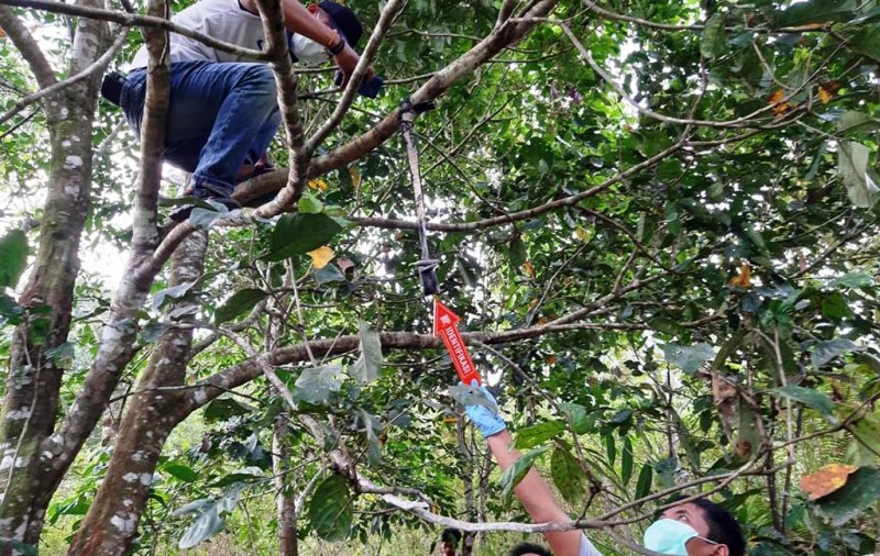 Tulang Belulang Manusia Ditemukan di Kebun Warga