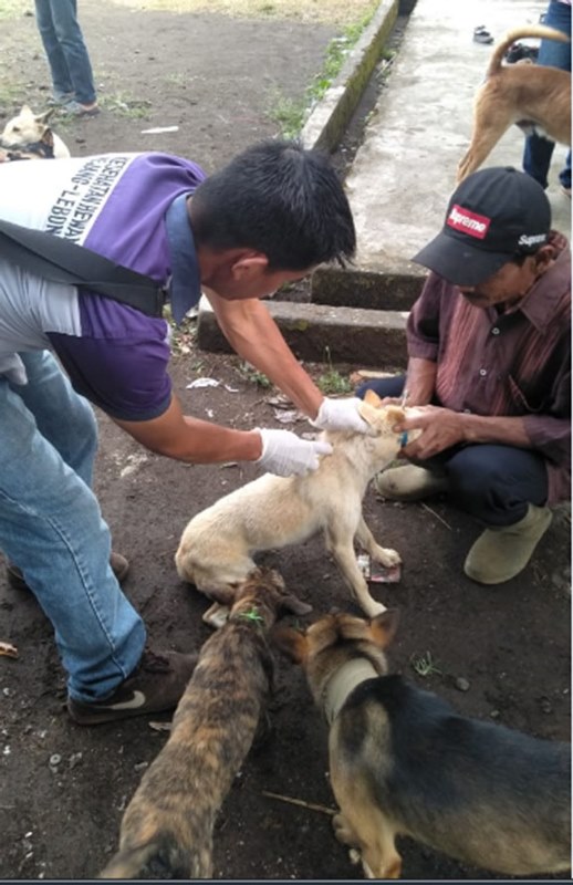 Vaksinasi HPR Terkendala Vaksin