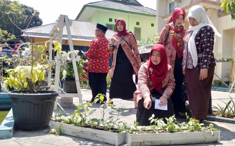 PKK Ajak Manfaatkan Pekarangan