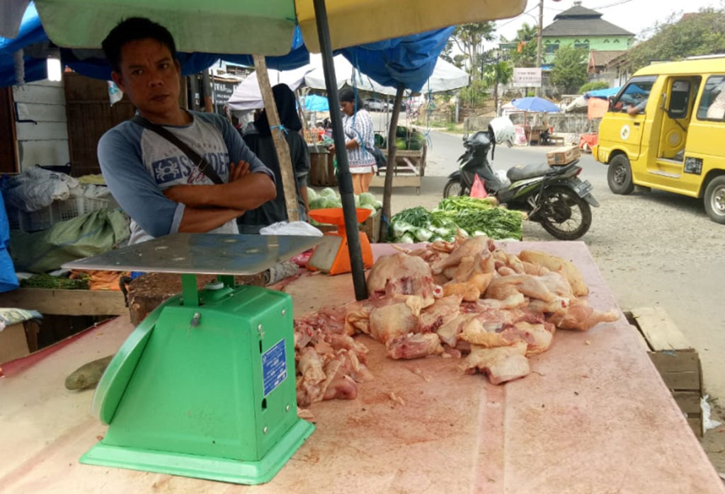 Harga Daging Ayam kembali Naik