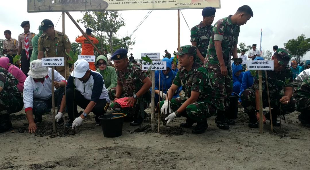 Tanam 300.074 Pohon Mangrove, TNI AL Pecahkan Rekor MURI