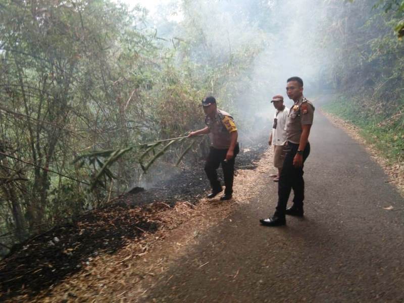 Kebun Karet PNS Terbakar