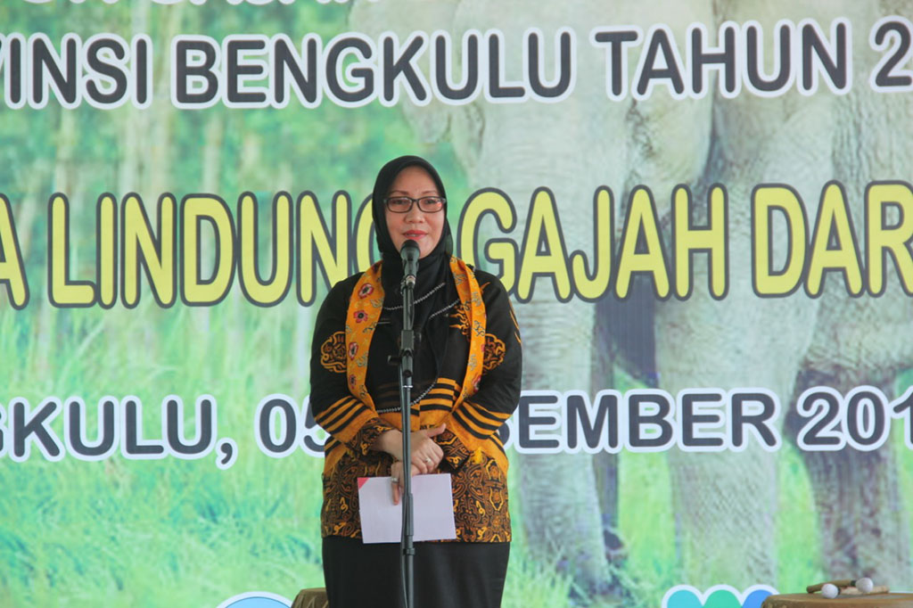 Lindungi Populasi Gajah Sumatera