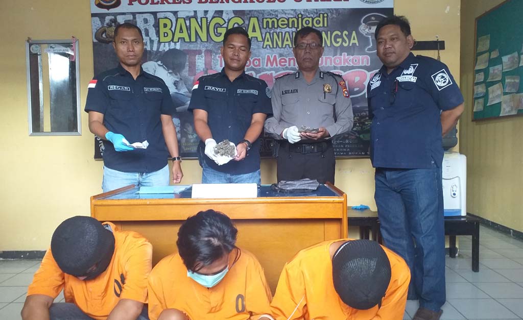 Polres Tangkap 3 Pengedar Ganja