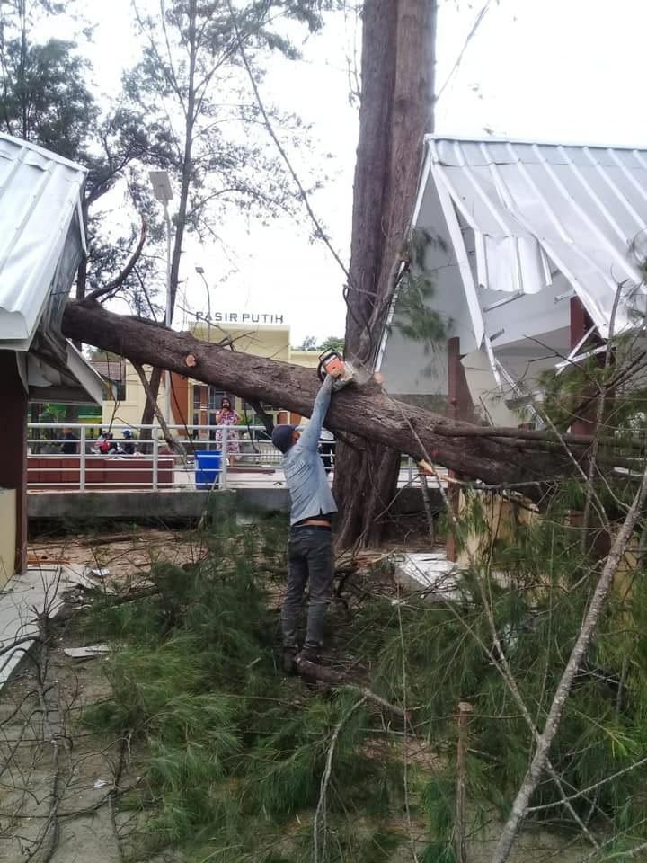 Pemkot Bergerak Cepat Atasi Pohon Tumbang