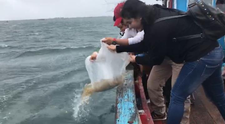 Polda Bengkulu Lepas Baby Lobster Hasil Sitaan