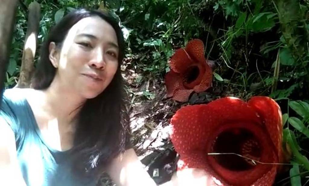 Rafflesia Bikin Wisatawan Thailand Kagum