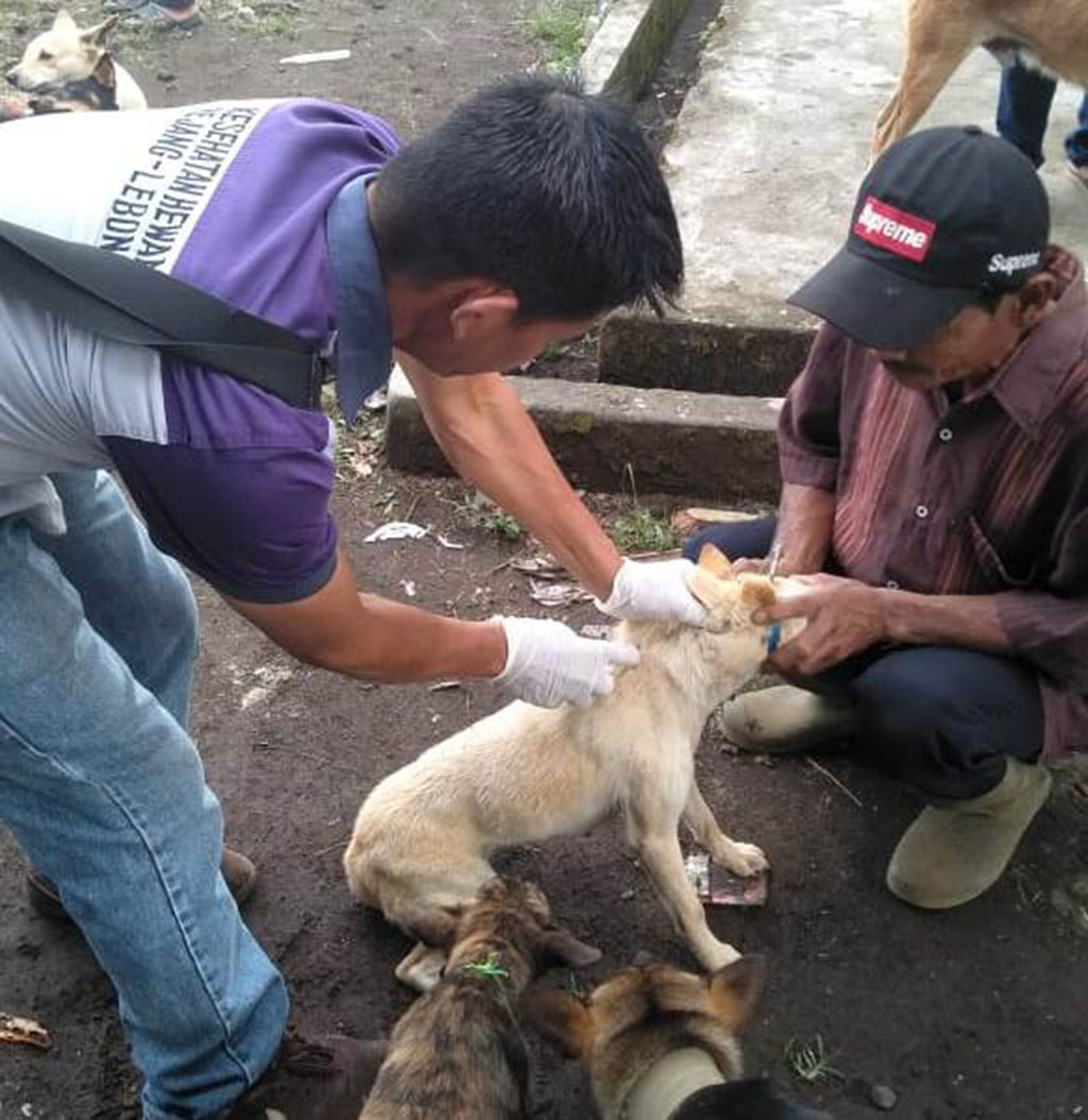 Stok Vaksin Rabies Menipis