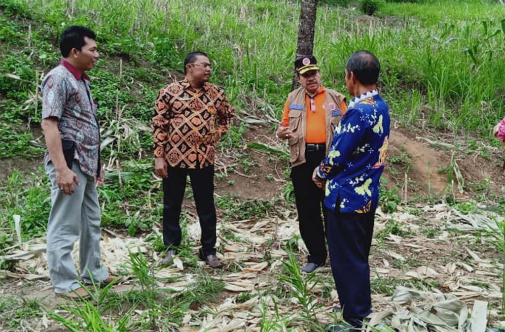 Pembibitan Rumput Vetiver Diapresiasi Provinsi dan BNPB