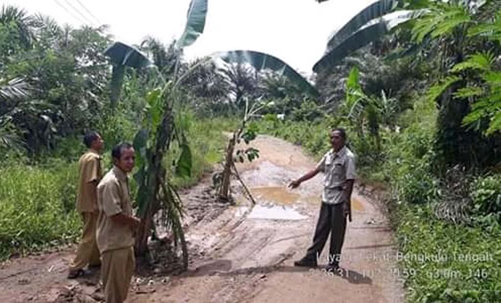 Jalan Provinsi Rusak Berat