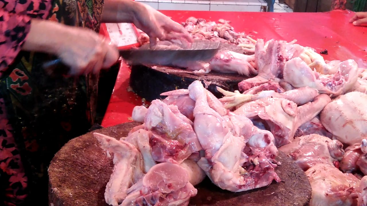 Pedagang di Sejumlah Pasar di Kota Bengkulu Naikan Harga Ayam Potong Sebesar 30 Persen