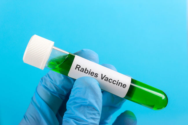 DPP Usulkan 5.500 Vaksin Rabies