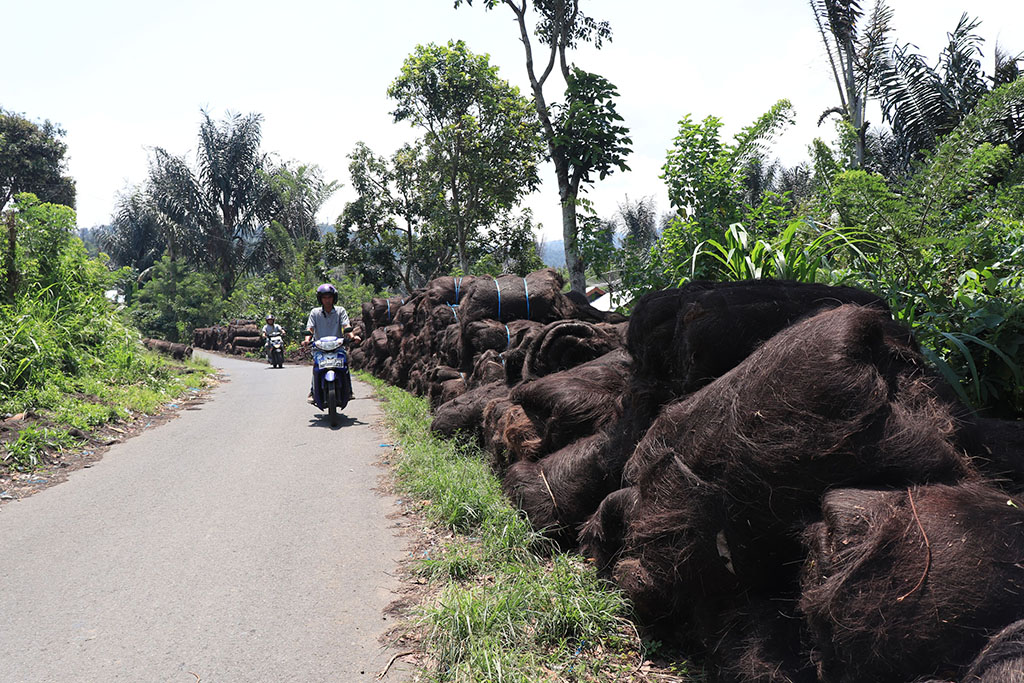 Ijuk Curup Dijual ke Bali