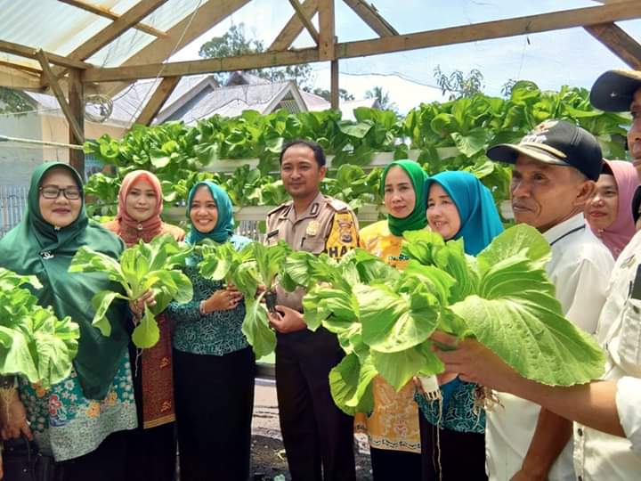 Ajak Masyarakat Manfaatkan Pekarangan