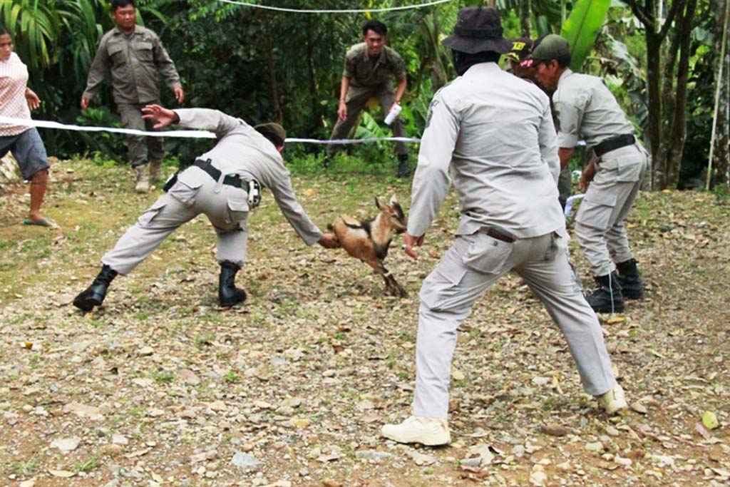 4 Ekor Kambing Diamankan