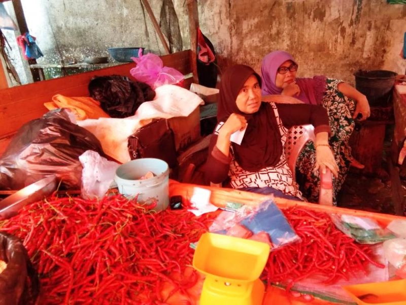 Harga Cabai Anjlok, Hanya 10 Ribu/Kg