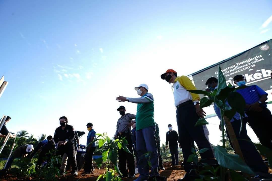 Jaga Ketahanan Pangan, Gubernur Bengkulu Ajak Masyarakat Berkebun