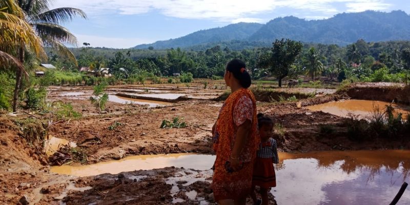 Jalan Rusak, Padi Hanyut