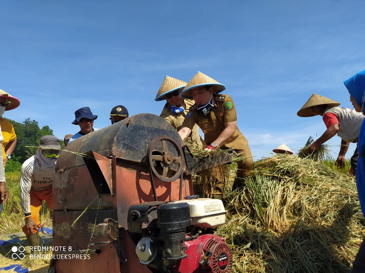 Diprediksi Kemarau Panjang, Wawali Minta Petani Segara Tanam Padi Lagi Usai Panen