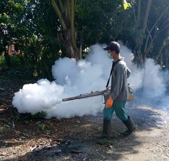 Pasien DBD Terus Bertambah, Siswanto: Fogging Tunggu Antrean