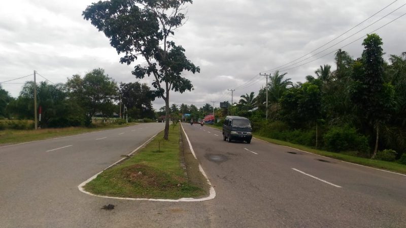 Median Jalan Ditanami Rempah-rempah