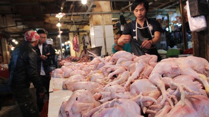 Warga Keluhkan Mahalnya Harga Ayam Potong