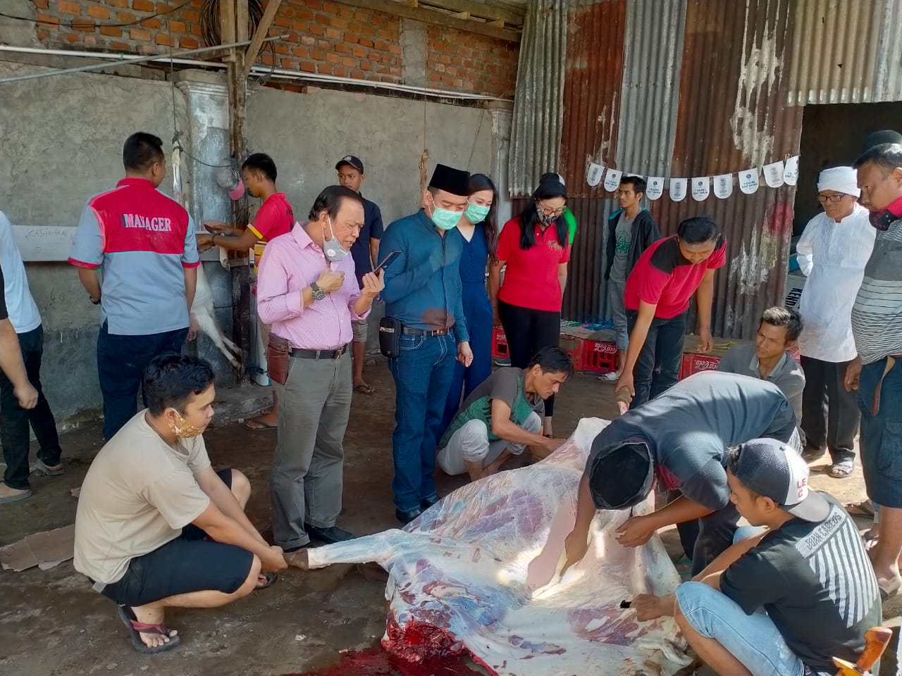 Putra Mas Rejang Lebong Kurban 1 Sapi dan 3 Kambing