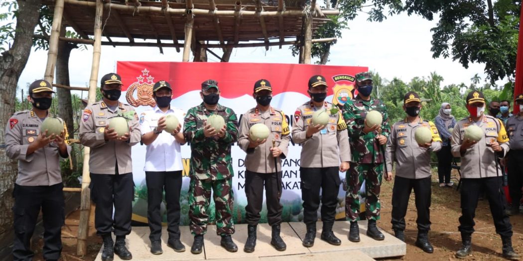 Pemkot Dukung Program Ketahanan Pangan TNI-Polri, Masyarakat Diminta Manfaatkan Pekarangan