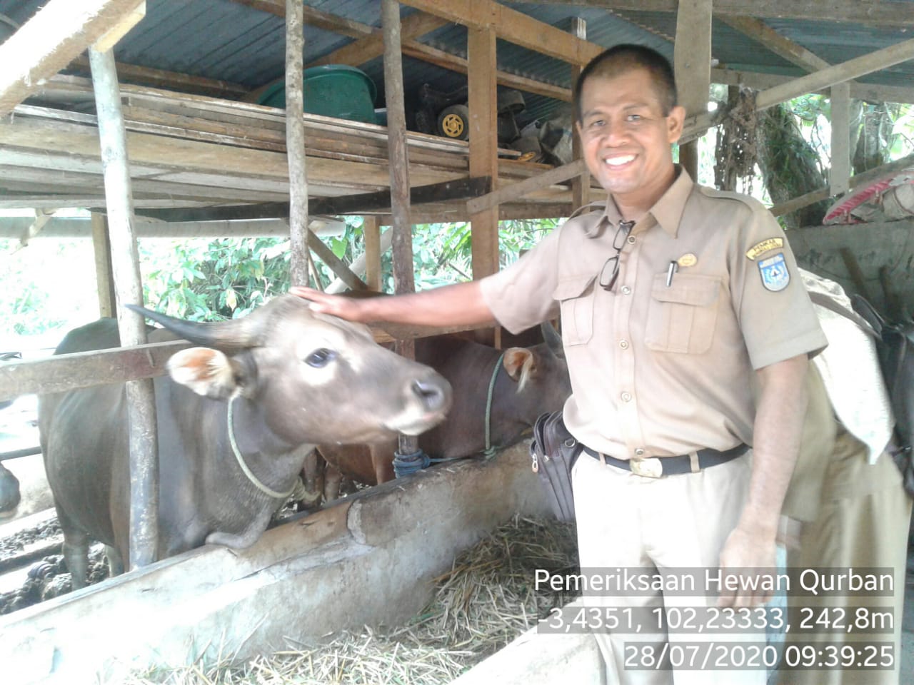 Kesehatan Hewan Kurban di Bengkulu Utara Diperiksa