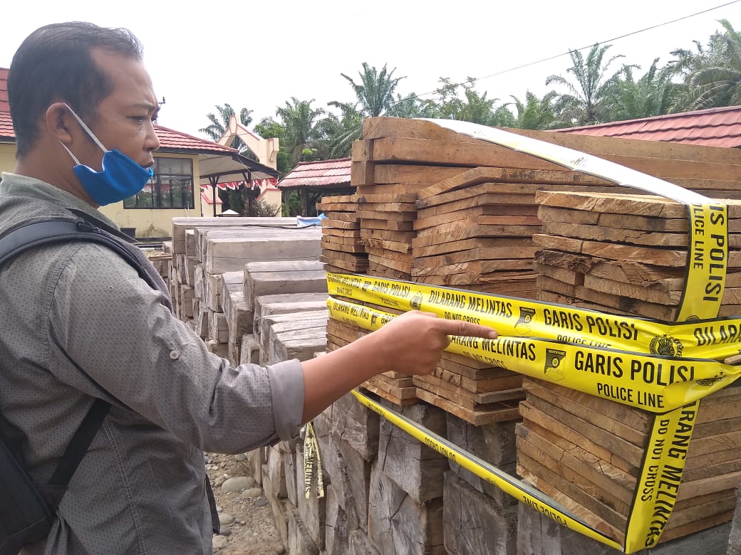 Dalang Illegal Logging di Mukomuko Diburu