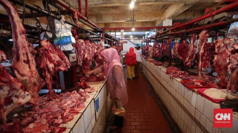 Harga Daging Sapi Stabil