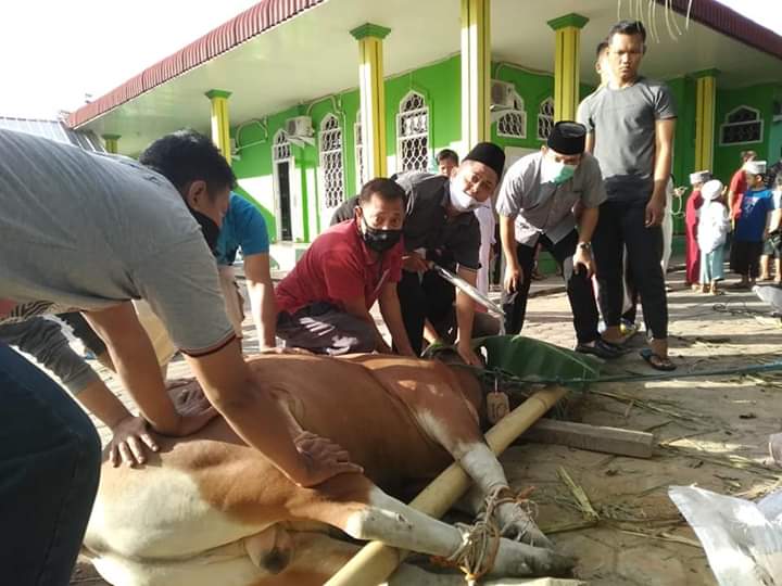 Wakil Wali Kota Bengkulu Pantau Pembagian Daging Kurban