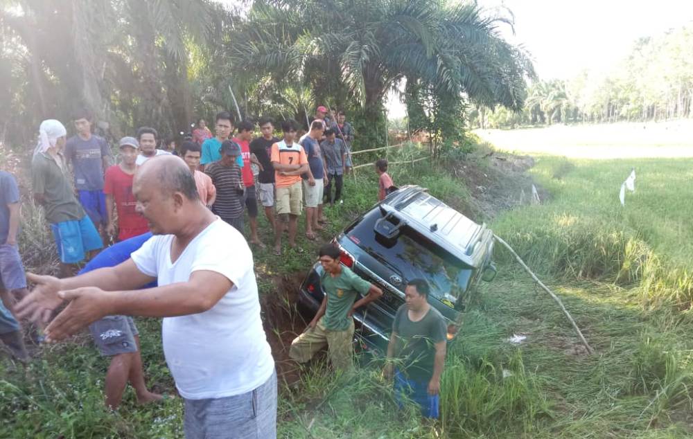 Diserang Tawon, Dua Kades di Kaur Nyaris Tewas Kecelakaan