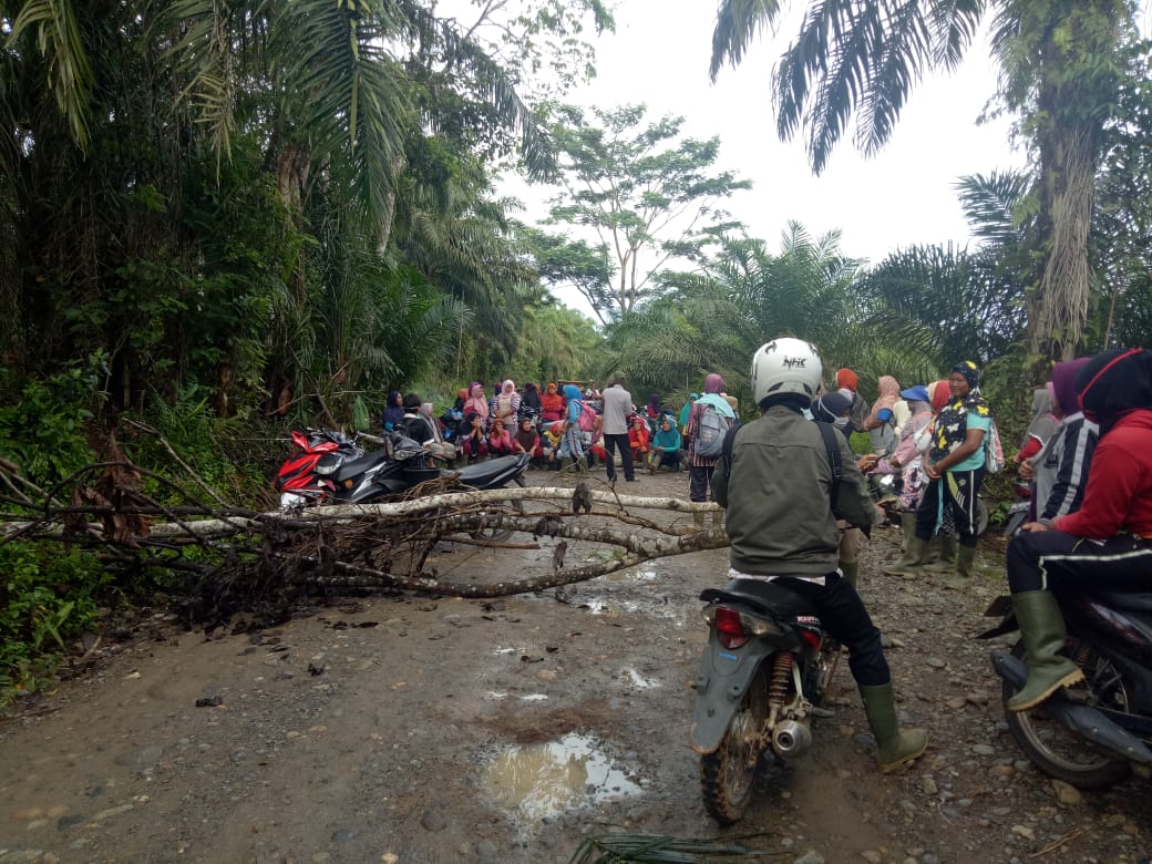 Ratusan Buruh PT DDP Kabupaten Mukomuko Tutup Akses Jalan