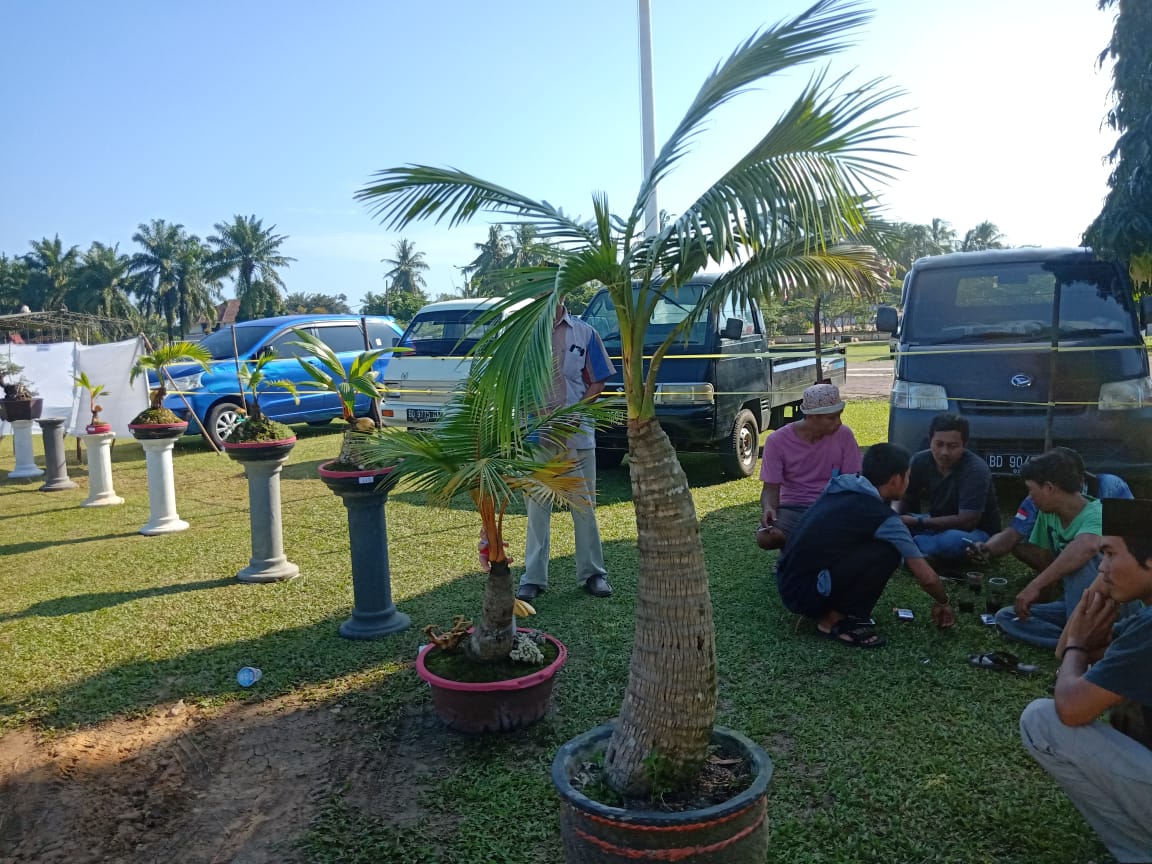 Komunitas Rumah Bonsai Bengkulu Selatan Gelar Pameran Bonsai